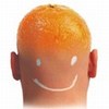 Administrator